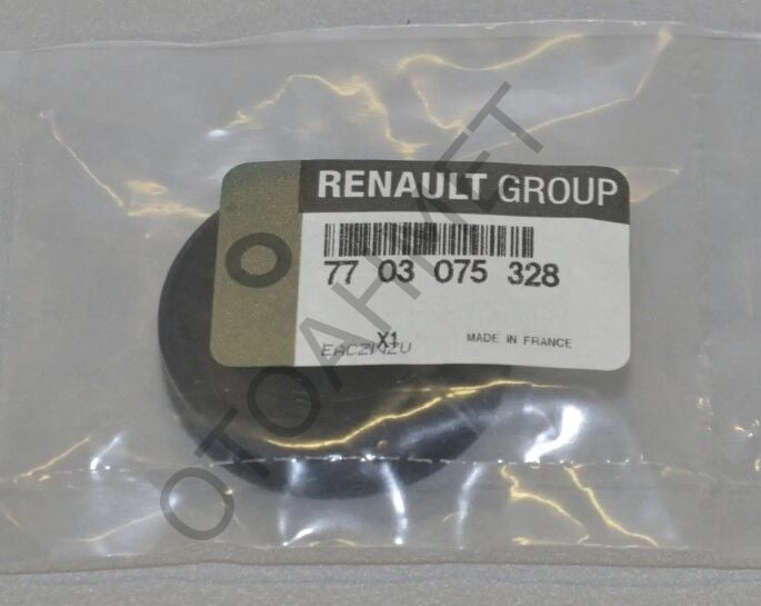Renault Master 2 Silindir Kapak Tapası 7703075328