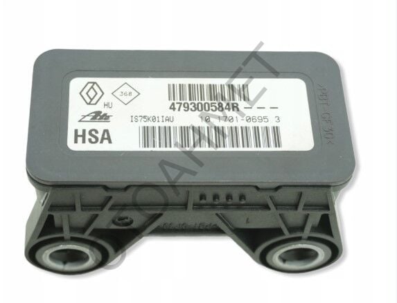 Esp İvme Kaptörü Fluence Scenic 3-479300584R