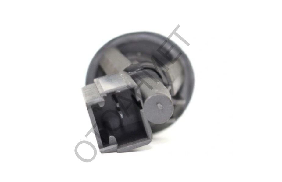 Kapı Işık Butonu Renault Clio Kangoo Megane