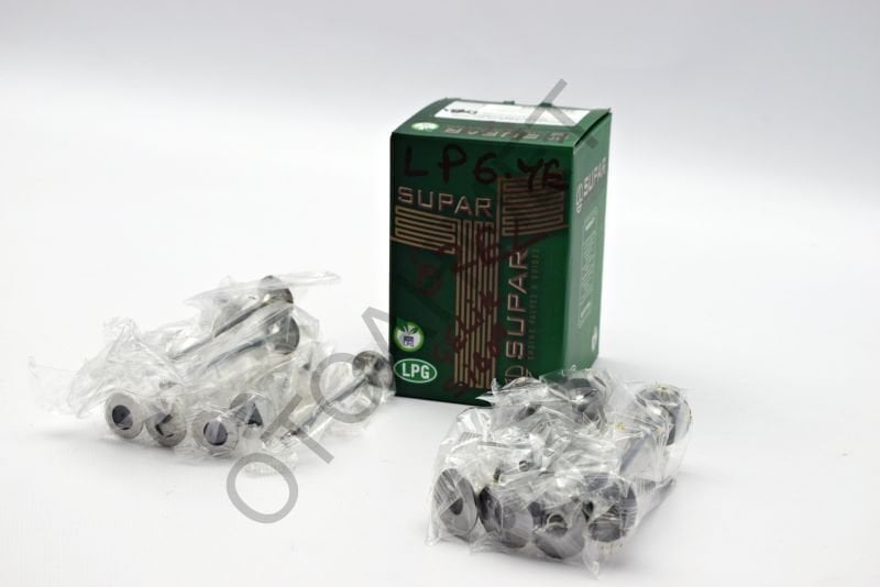 Renault Megane 4 Subap Lpg Uyumlu H4m Motor