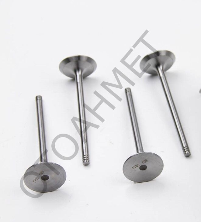 Subap Takımı N7Q Volvo Motor Laguna Safrane