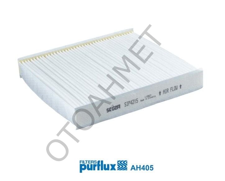 Renault Clio 4 Polen Filitresi