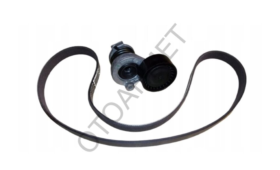 Alternatör Kayış Kiti Dacia Duster Megane 117201925R