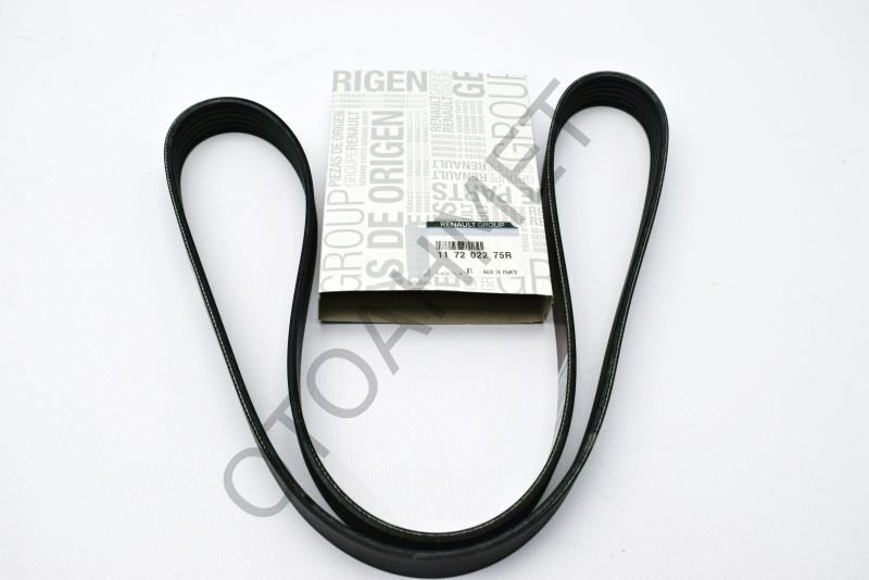 Alternatör V Kayışı Sandero-Clio-117202275R