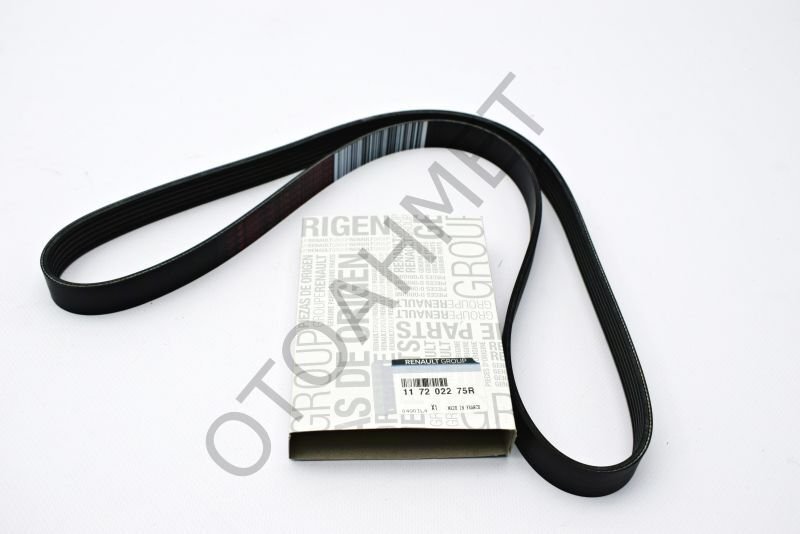 Alternatör V Kayışı Sandero-Clio-117202275R