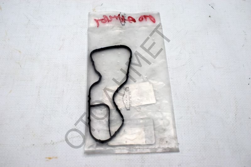 Termostat Contası Clio 4 H5F H4F Motor