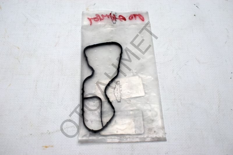 Termostat Contası Clio 4 H5F H4F Motor