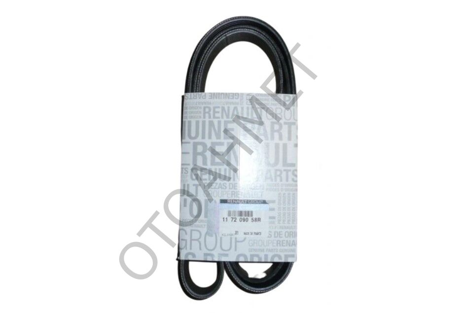 Alternatör Kayışı Clio 4 1.2 TCe 117209058R