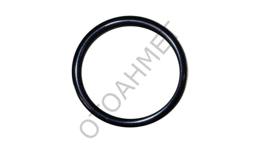 Gaz Kelebek Oringi Renault Clio Megane Laguna 16 Valf