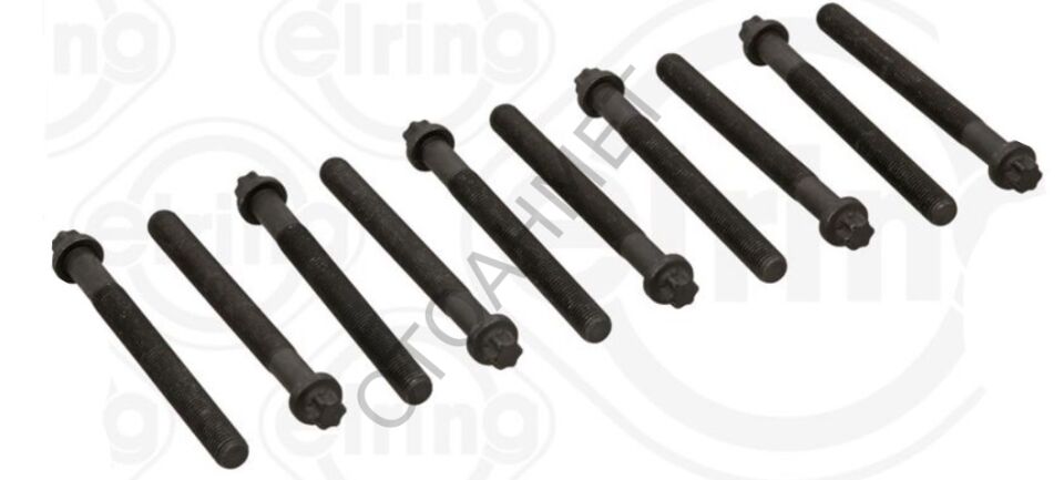 Kango Laguna Megane Silindir Kapak Saplaması-7700865991