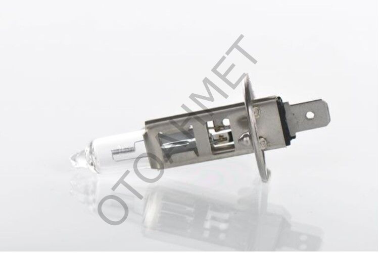 H11 Ampül 12V