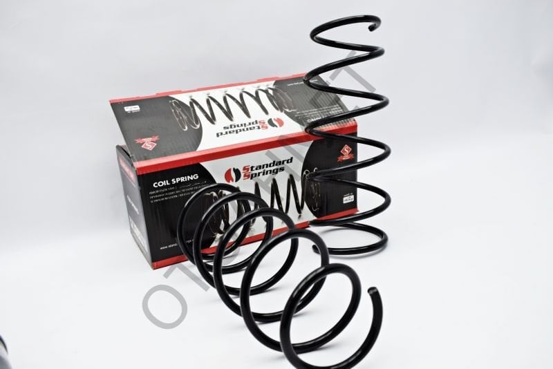 Renault Clio Ön Helezon Yayı Hatchback