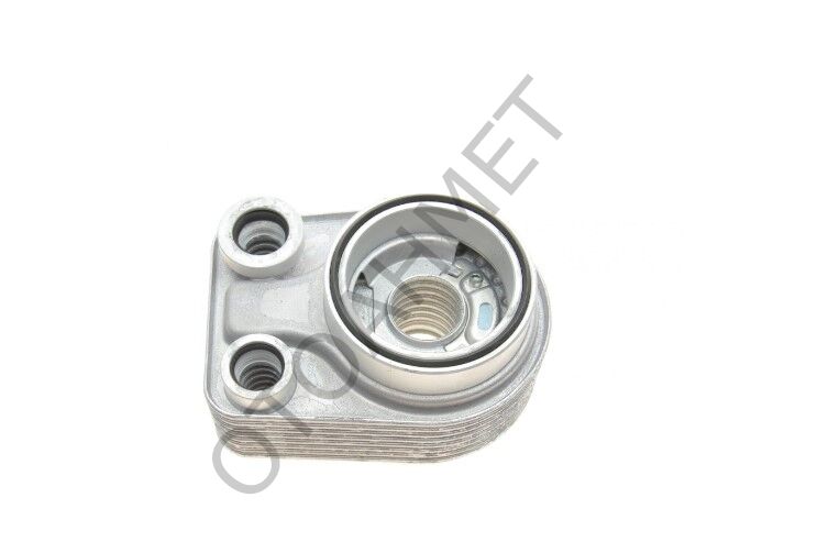 213059324R Yağ Soğutucu Dokker Lodgy Kadjar