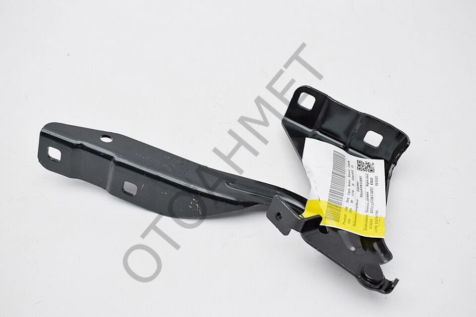 Kadjar Kaput Menteşesi Sağ 654001403R