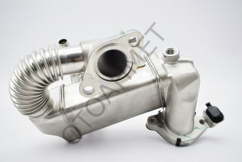 Trafic 3 Talisman Nissan Qashqai Egr Soğutucu 147350678R